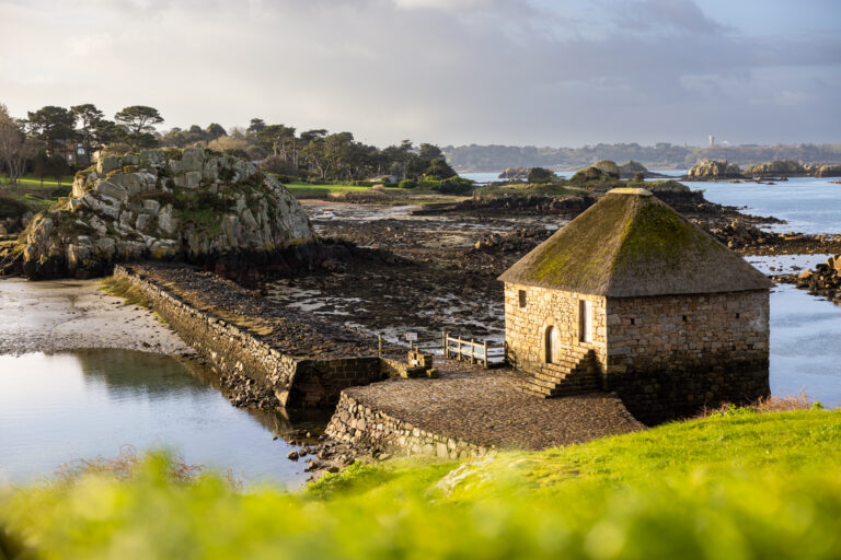 La roue tourne au moulin du Birlot