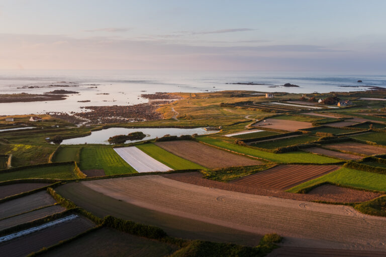 Recherche de prestations de service pour la dératisation de l&rsquo;île de Batz