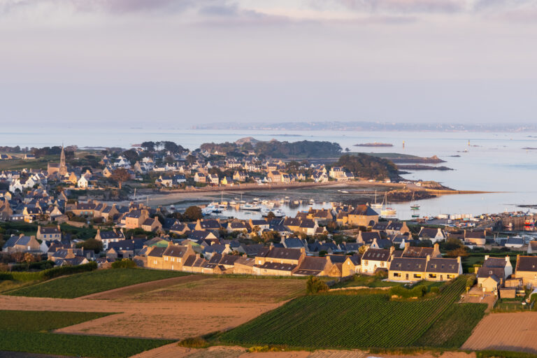 𝗢𝗽𝗲́𝗿𝗮𝘁𝗶𝗼𝗻𝘀 𝗱𝗲 𝗱𝗲́𝗿𝗮𝘁𝗶𝘀𝗮𝘁𝗶𝗼𝗻 𝗲𝘁 𝗱𝗲 𝗹𝗶𝗺𝗶𝘁𝗮𝘁𝗶𝗼𝗻 𝗱𝗲𝘀 𝗿𝗮𝗴𝗼𝗻𝗱𝗶𝗻𝘀 𝘀𝘂𝗿 𝗹’𝗶̂𝗹𝗲 𝗱𝗲 𝗕𝗮𝘁𝘇